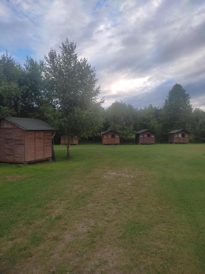 Agroturystyka Kajaki Sauna Pierogi Bakalarzewo ภายนอก รูปภาพ